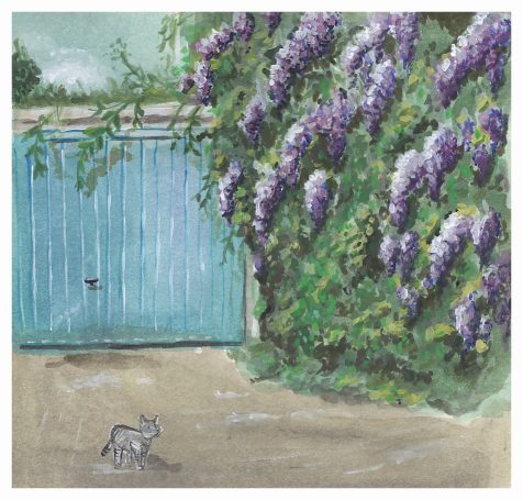 von Blauregen zugewachsene Garage, mit einer grauen Katze 